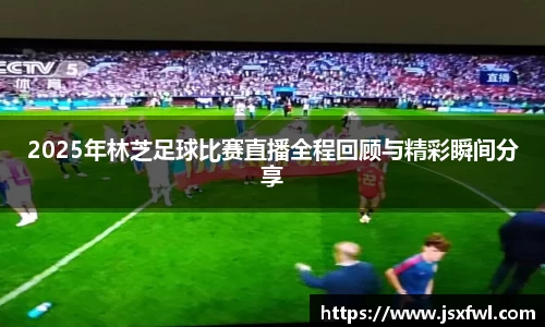 2025年林芝足球比赛直播全程回顾与精彩瞬间分享